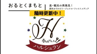 花蕾 花つぼみ 大人気のランチ 牛ステーキ茶漬け 予約やメニューは 熊本市帯山 ランチしましょ Vol 2